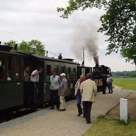 Brentel Family Comfortable Vehlin